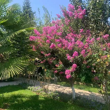Villa Elysium