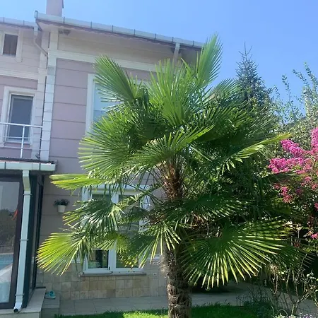 Elysium Gebze