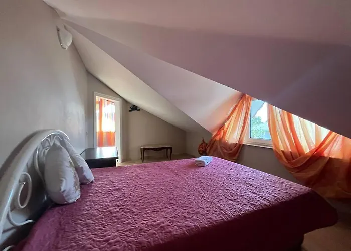 فيلة Elysium جبز