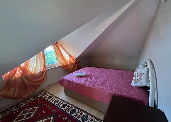 Elysium فيلة جبز