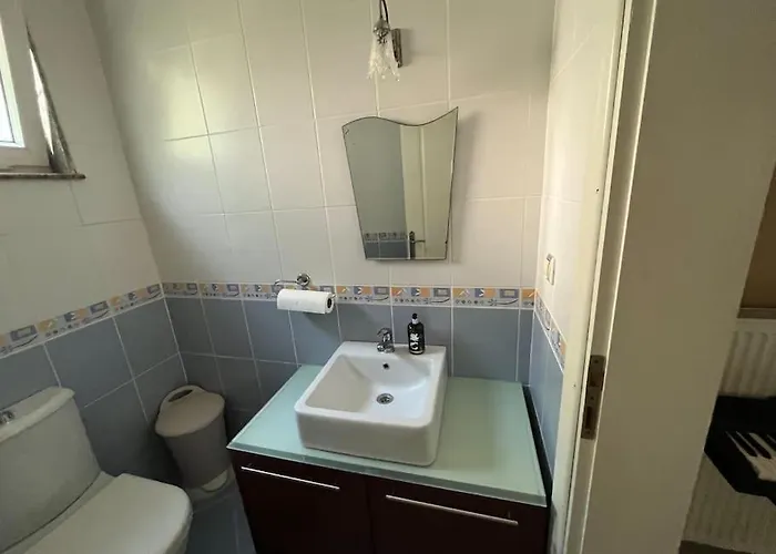 فيلة Elysium جبز