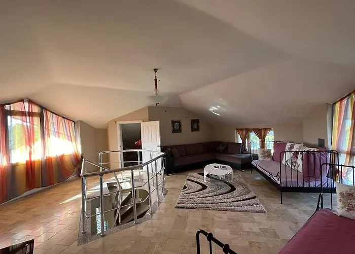 فيلة Elysium جبز