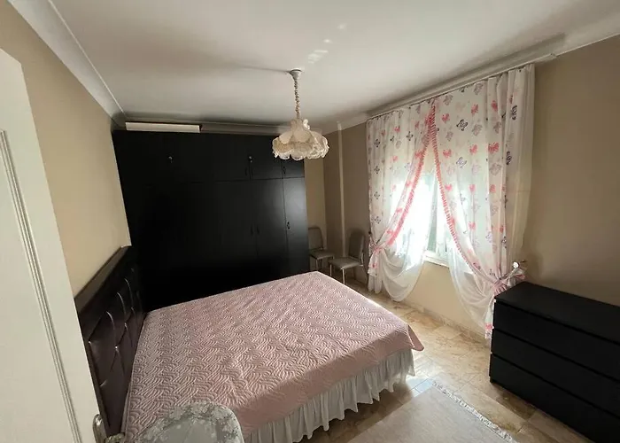 فيلة Elysium جبز