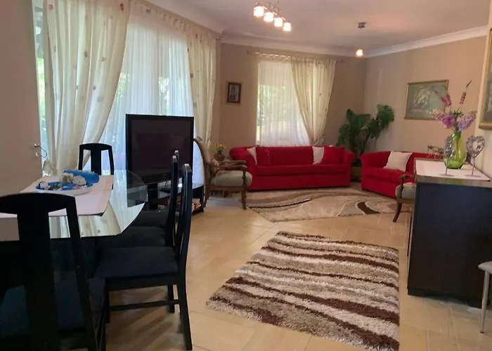 Elysium فيلة جبز