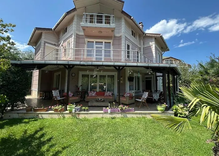 فيلة Elysium جبز