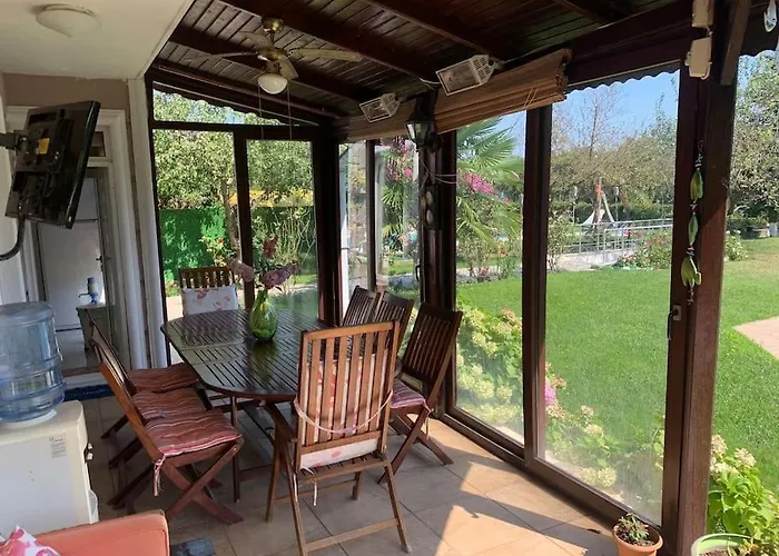 فيلة Elysium جبز